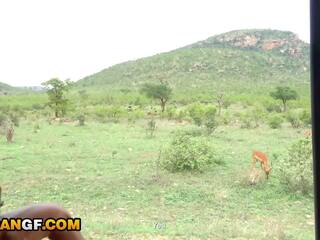 Πραγματικός footage του μου όμορφος/η αφρικάνικο φιλενάδα τσιμπουκώνοντας μου μακριά από κατά την διάρκεια safari ρομαντικός getaway