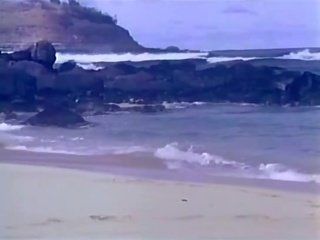 Gengibre lynn, ron jeremy - surf, sand & adulto filme - um pouco bocado de hanky panky